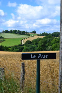 Bost Juillet 2017, DSC_0750