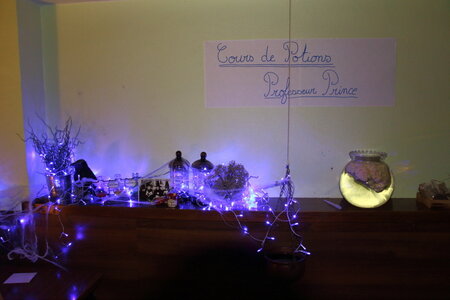 2017 - Soirée Harry Potter, IMG_4514