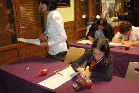 2017 - Soirée Harry Potter, IMG_4685