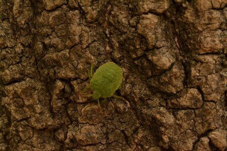 11 - Juin 2017, DSC_0178  3 