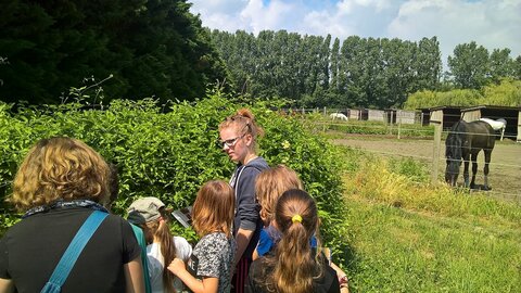 11 - Juin 2017, WP_20170602_11_18_26_Pro