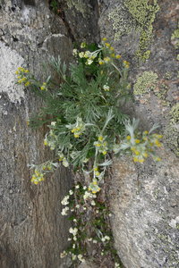 2017-07-16-19-mont-blanc, alpes-aventure-traversee-aiguilles-crochues-2017-07-19-21
