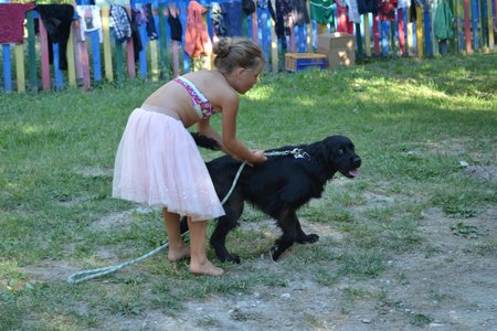 13 - Juillet 2017, DSC_0449