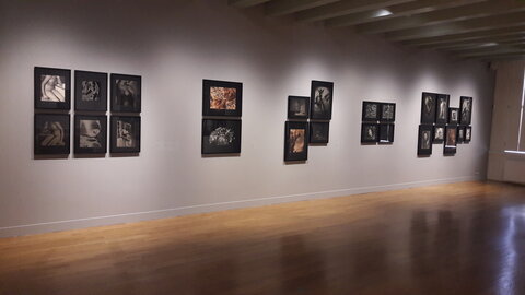 Lionel Wendt - Exposition au Huis Marseille - Amsterdam, 2e_20170715_145445