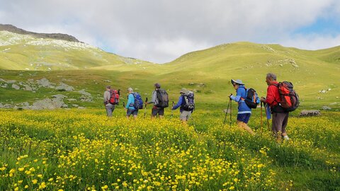 randonnée Tête de Vautisse du 25 juillet 2017, P7250002_01  Copier 