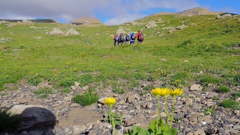 randonnée Tête de Vautisse du 25 juillet 2017, P7250007  Copier 