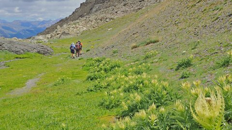 randonnée Tête de Vautisse du 25 juillet 2017, P7250052  Copier 