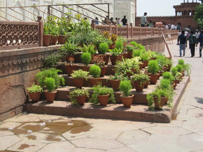 Inde (Rajasthan) - Avril_Mai 2012 - Album N° 1, IMG_1424