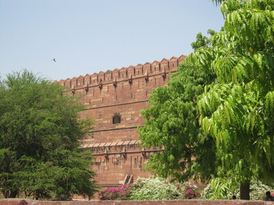 Inde (Rajasthan) - Avril_Mai 2012 - Album N° 1, IMG_1457