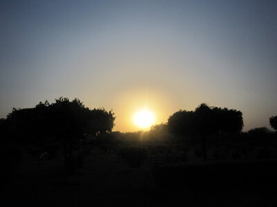 Inde (Rajasthan) - Avril_Mai 2012 - Album N° 1, IMG_1526