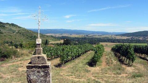 Boudes , IMG_1683
