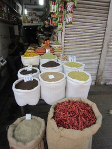 Inde (Rajasthan) - Avril_Mai 2012 - Album N° 1, IMG_1663