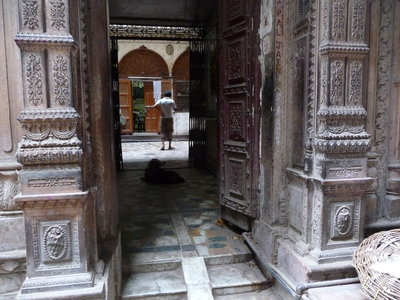 Inde (Rajasthan) - Avril_Mai 2012 - Album N° 2, P1070397