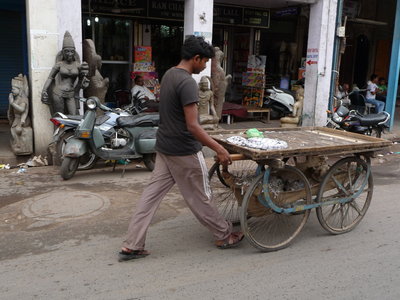 Inde (Rajasthan) - Avril_Mai 2012 - Album N° 2, P1070440
