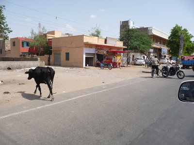 Inde (Rajasthan) - Avril_Mai 2012 - Album N° 2, P1070503