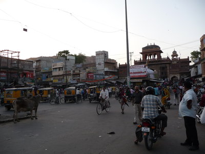 Inde (Rajasthan) - Avril_Mai 2012 - Album N° 2, P1070702