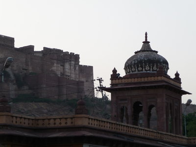 Inde (Rajasthan) - Avril_Mai 2012 - Album N° 2, P1070718