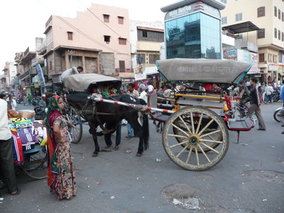 Inde (Rajasthan) - Avril_Mai 2012 - Album N° 2, P1070752