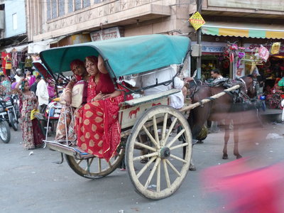 Inde (Rajasthan) - Avril_Mai 2012 - Album N° 2, P1070755