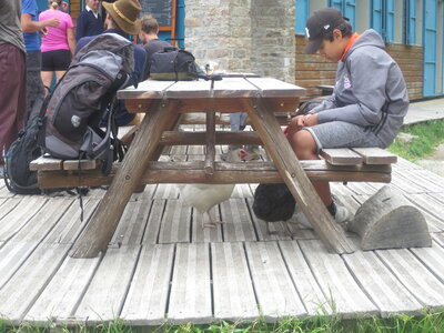 TOUR DES PERICS, IMG_4388
