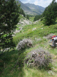 TOUR DES PERICS, IMG_4412