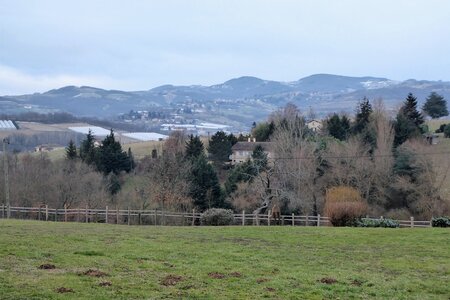 Monts du Lyonnais (Thurins 69610) janvier 2017, P1010675