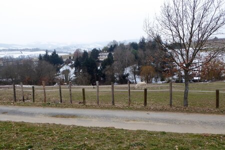 Monts du Lyonnais (Thurins 69610) janvier 2017, P1010620