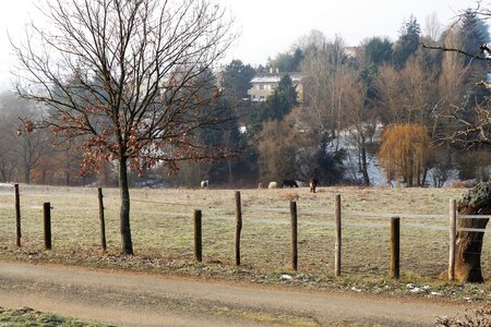 Monts du Lyonnais (Thurins 69610) janvier 2017, P1010608