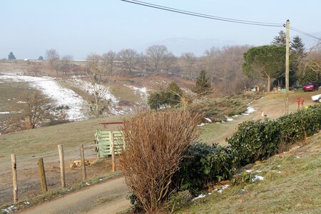 Monts du Lyonnais (Thurins 69610) janvier 2017, P1010607