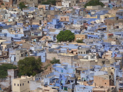 Inde (Rajasthan) - Avril_Mai 2012 - Album N° 2, P1070836