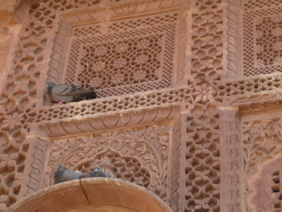 Inde (Rajasthan) - Avril_Mai 2012 - Album N° 2, P1070980