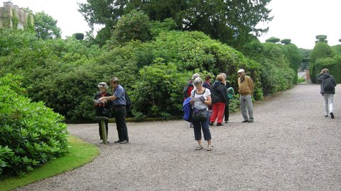  2017 Arpege à Nantwich , 17G914S398