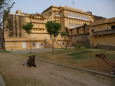 Inde (Rajasthan) - Avril_Mai 2012 - Album N° 2, P1080104
