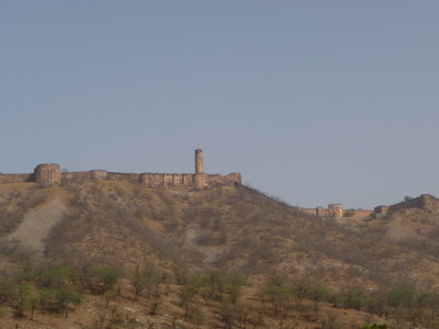 Inde (Rajasthan) - Avril_Mai 2012 - Album N° 2, P1080160