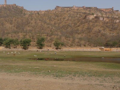 Inde (Rajasthan) - Avril_Mai 2012 - Album N° 2, P1080167