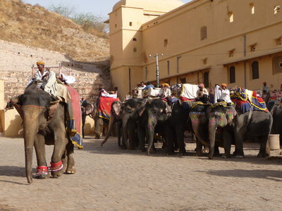 Inde (Rajasthan) - Avril_Mai 2012 - Album N° 2, P1080178