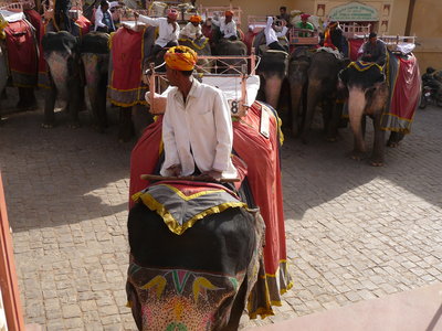 Inde (Rajasthan) - Avril_Mai 2012 - Album N° 2, P1080182