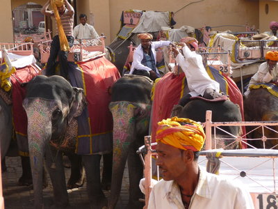 Inde (Rajasthan) - Avril_Mai 2012 - Album N° 2, P1080183