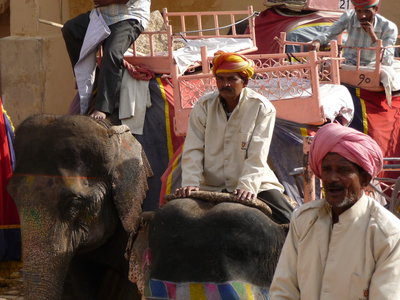 Inde (Rajasthan) - Avril_Mai 2012 - Album N° 2, P1080189