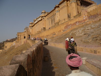 Inde (Rajasthan) - Avril_Mai 2012 - Album N° 2, P1080209