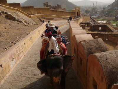 Inde (Rajasthan) - Avril_Mai 2012 - Album N° 2, P1080212