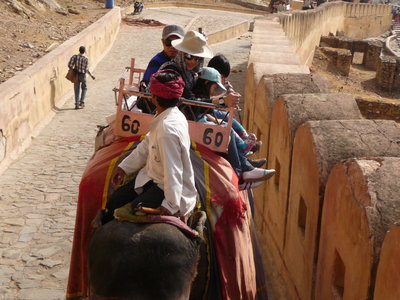 Inde (Rajasthan) - Avril_Mai 2012 - Album N° 2, P1080213