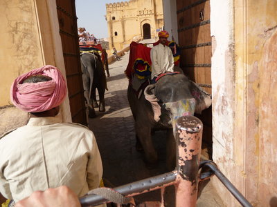 Inde (Rajasthan) - Avril_Mai 2012 - Album N° 2, P1080214