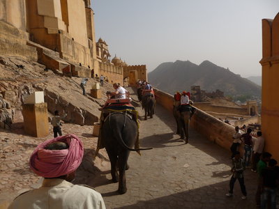 Inde (Rajasthan) - Avril_Mai 2012 - Album N° 2, P1080217