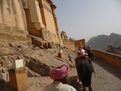 Inde (Rajasthan) - Avril_Mai 2012 - Album N° 2, P1080218