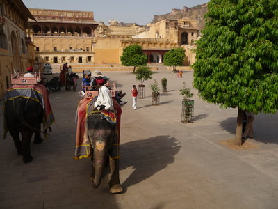 Inde (Rajasthan) - Avril_Mai 2012 - Album N° 2, P1080223