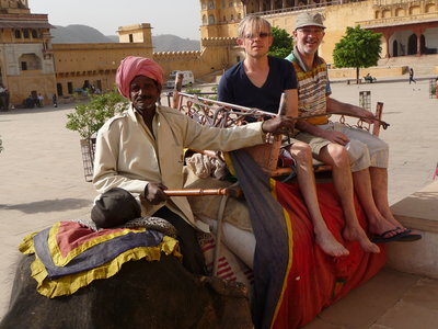 Inde (Rajasthan) - Avril_Mai 2012 - Album N° 2, P1080228
