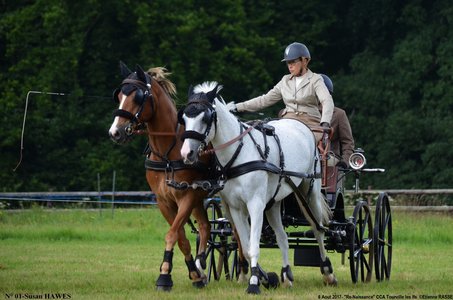 2017-08-06 - CCA La Renaissance Tourville Les Ifs 2017, 01-DSC_8205