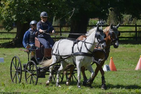 2017-08-06 - CCA La Renaissance Tourville Les Ifs 2017, 01-DSC_9142