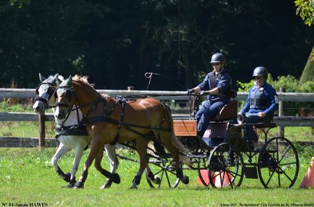 2017-08-06 - CCA La Renaissance Tourville Les Ifs 2017, 01-DSC_9162